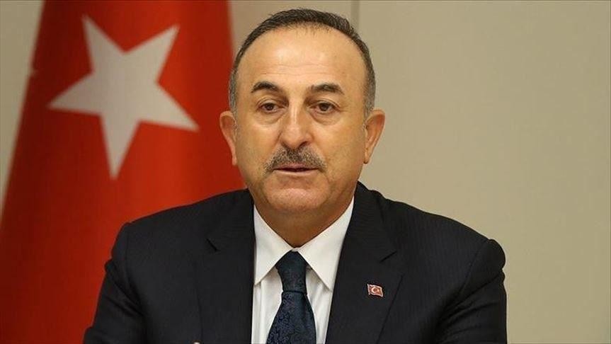 تركيا تنفي تجنيس مقاتلين سوريي...
