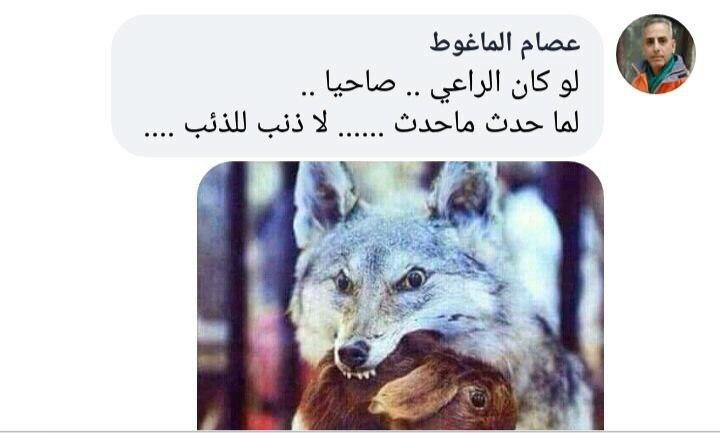 موالون يناشدون مملوك ويتجاهلون...