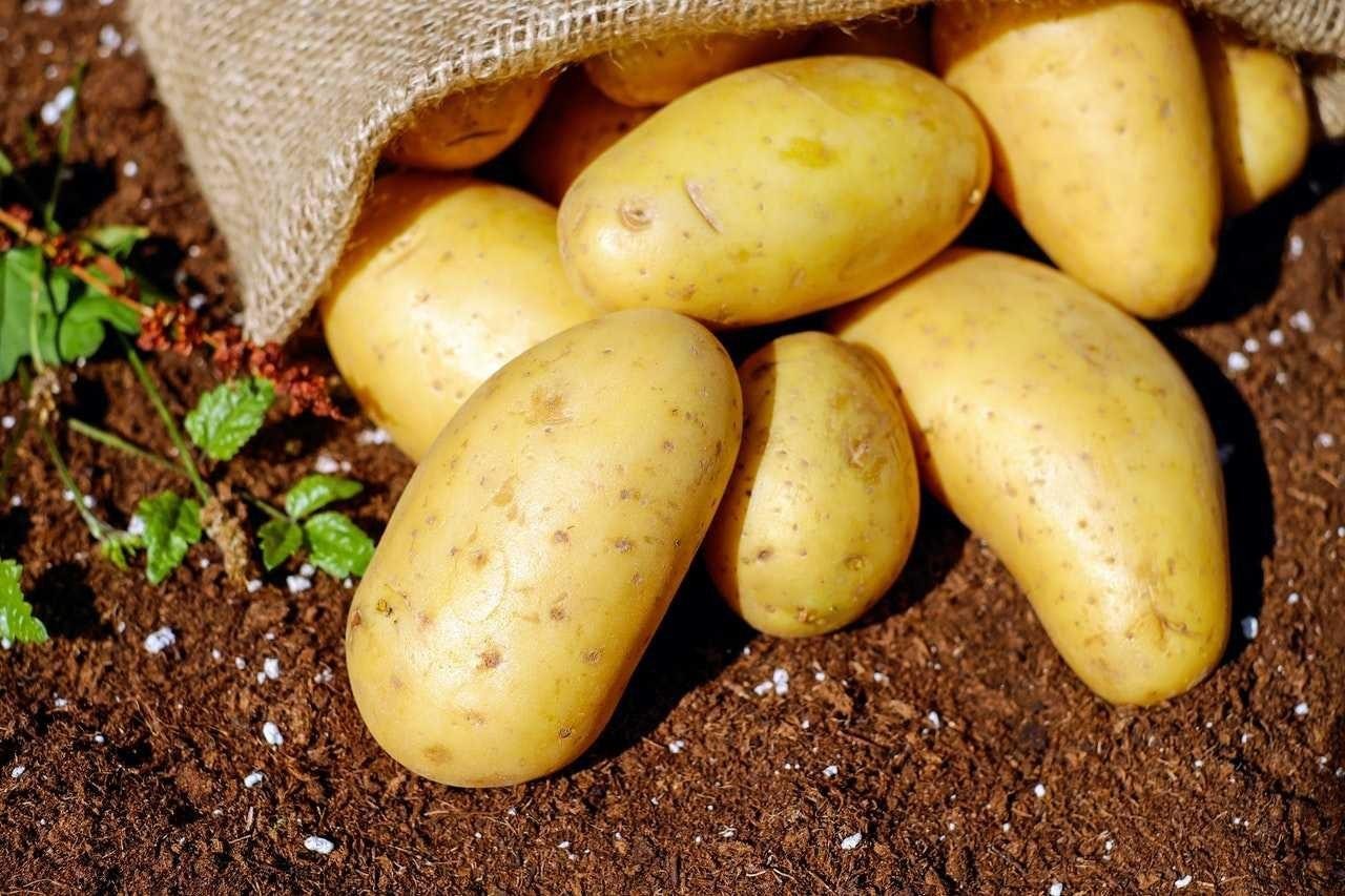 لأول مرة.. صحيفة البعث الموالي...