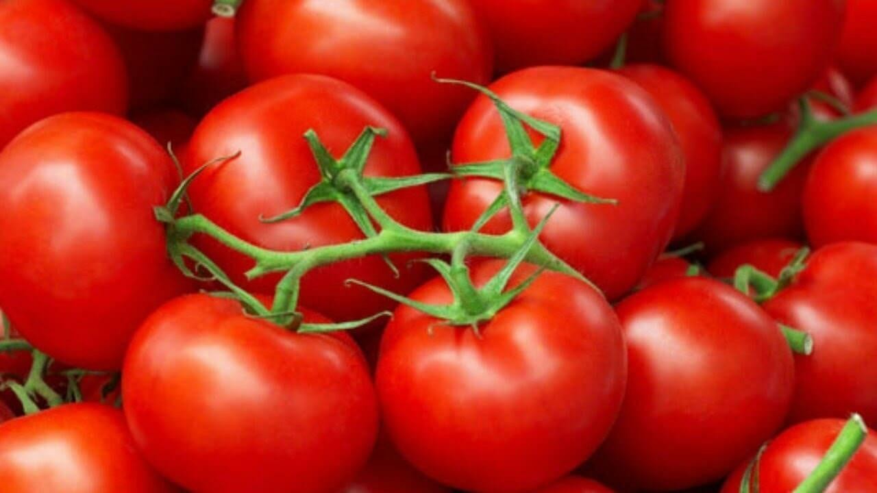 وعود لخفض سعر "البندورة" في من...