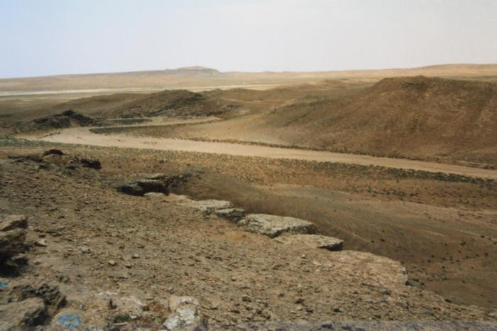 قتلى من ميليشيا "الدفاع الوطني...