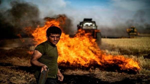 حرائق ضخمة تلتهم الحقول الزراع...