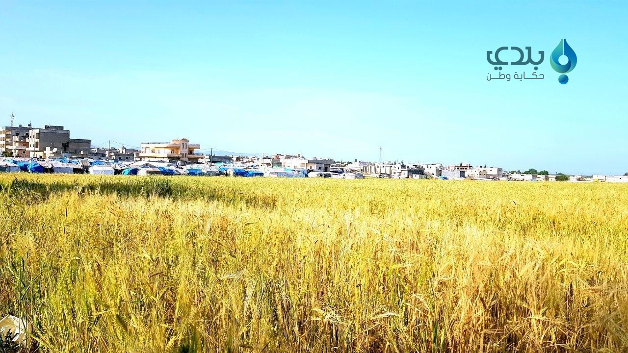اجتماع شمالي حلب لتحديد أسعار...