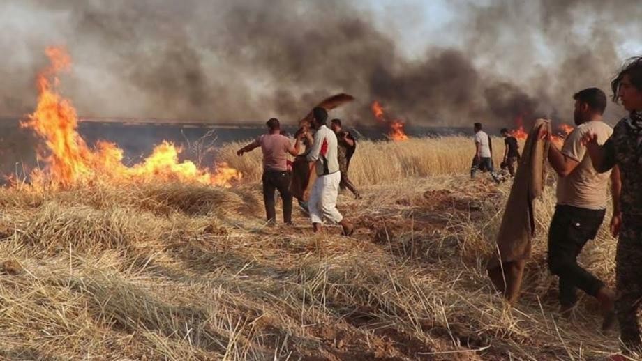 من جديد.. النيران تلتهم 80 دون...