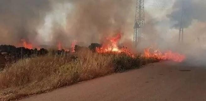 حرائق تلتهم محاصيل القمح في ال...