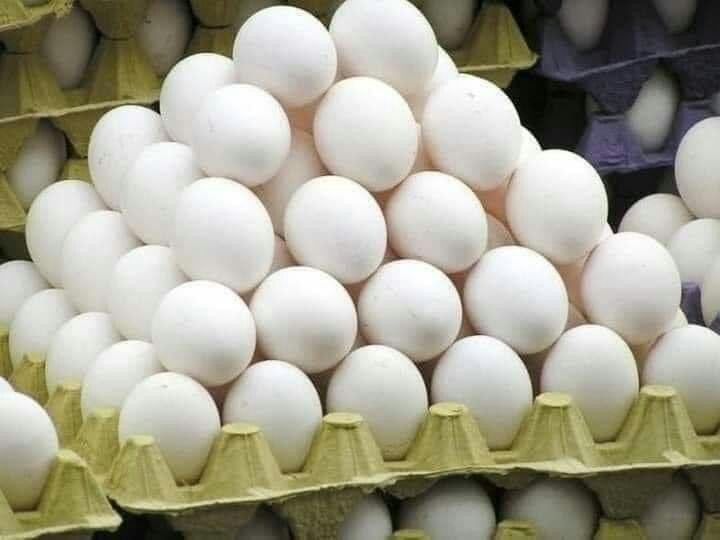 ارتفاع سعر "البيض" في مناطق سي...