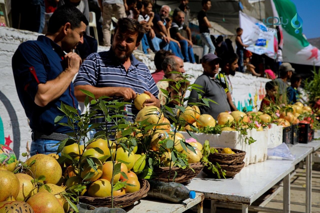 "مهرجان الرمان " يعود إلى بلدة...