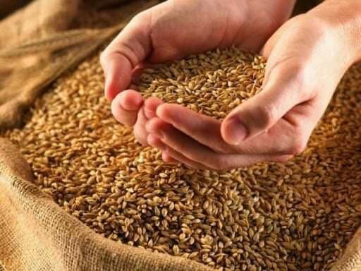 النظام يطرح مناقصة جديدة لشراء...