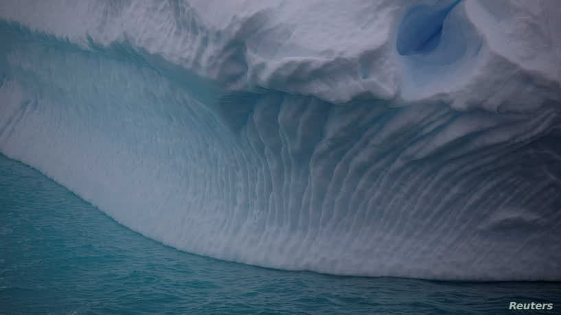 علماء يعثرون على كائنات حية تح...