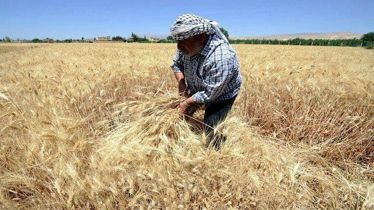 النظام يبرم عقودا لاستيراد ملي...