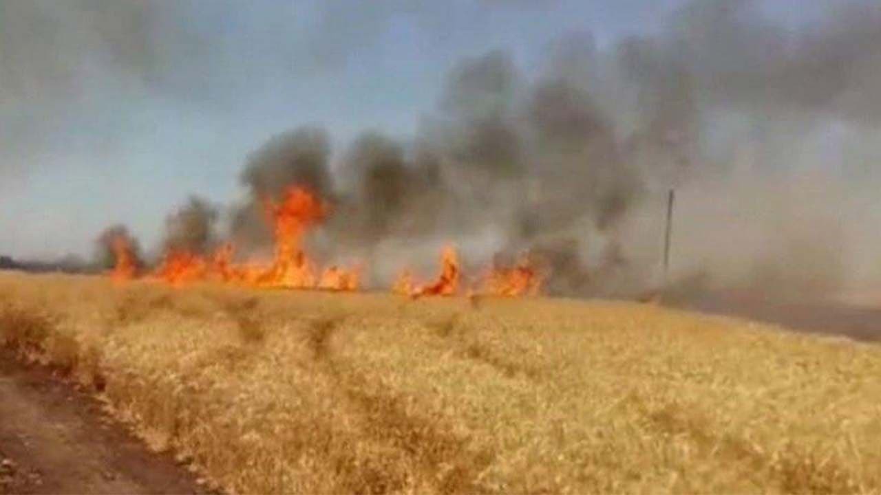 حرائق تلتهم محاصيل القمح والشع...