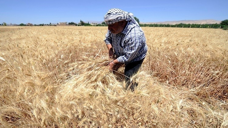 خبير تنموي بحكومة النظام يطالب...