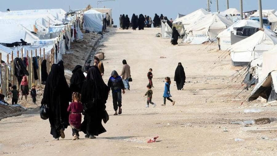 بالتنسيق مع الأمم المتحدة.. ال...