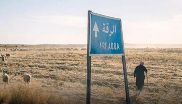 مقـ.ـتل رعاة وسرق قطيعهم في با...