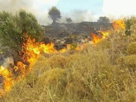 بالفيديو: اندلاع حرائق بأرياف...