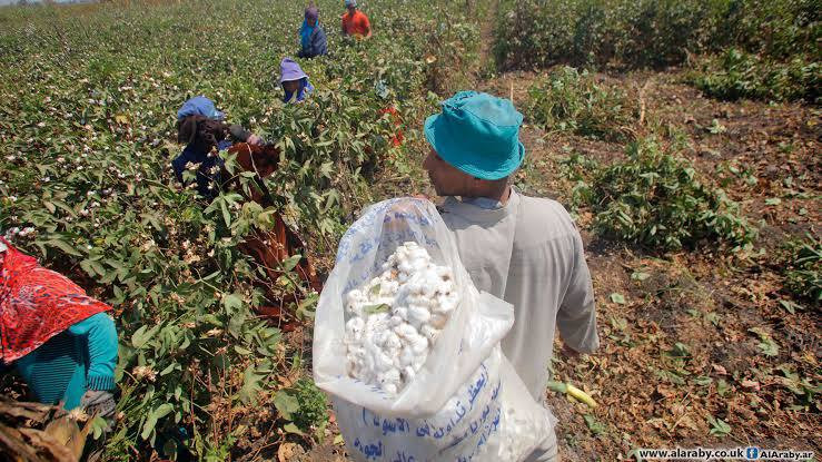 "الإدارة الذاتية" تحدد سعر محص...