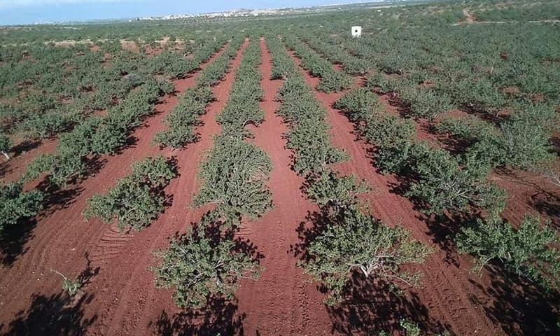 "التحقيق الدولية" تحمل نظام ال...
