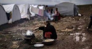 "الأغذية العالمي": 12 مليون سو...