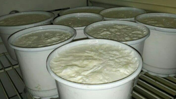 أسعار الحليب ومشتقاته تشهد ارت...