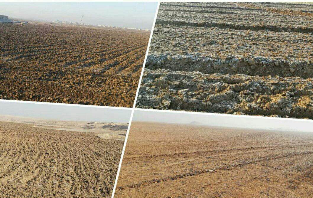 المزارعون السوريون يخشون زراعة...