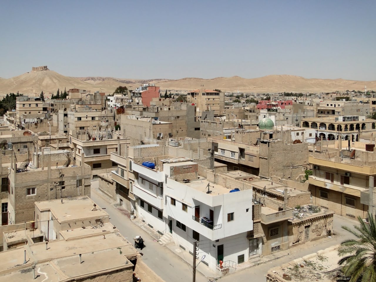 "فاطميون" تستولي على منازل في...