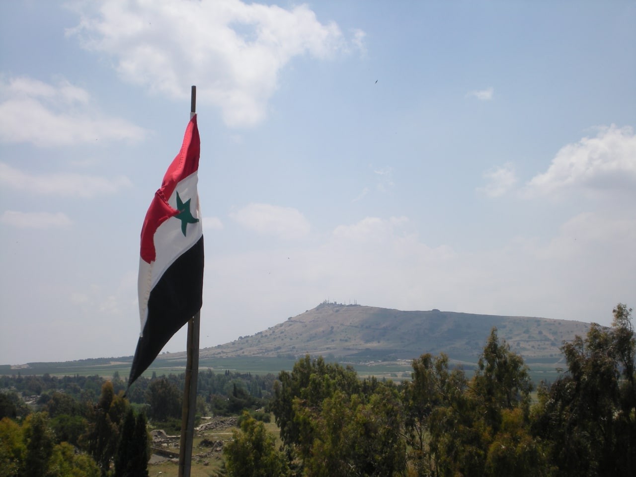 النظام يلتف على العقوبات بشركا...