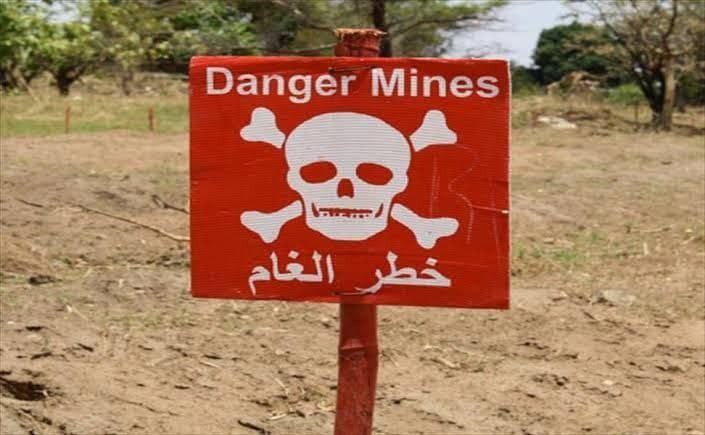 استشهاد شاب بانفجار لغم أرضي ب...