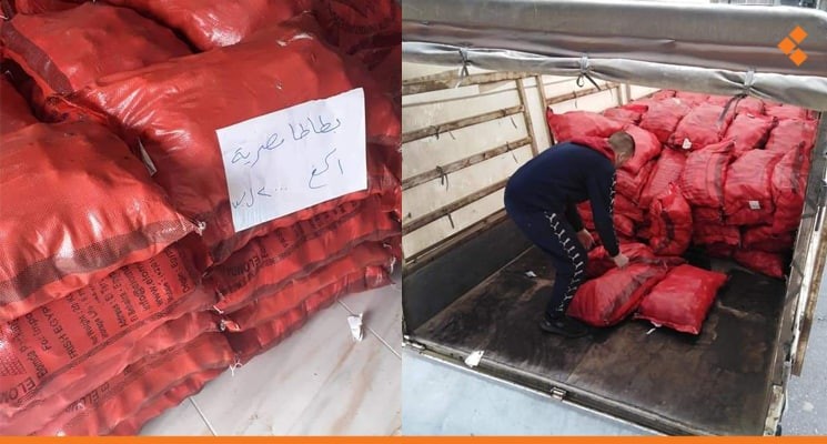 البطاطا المصرية تدخل أسواق حمص