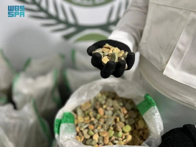 "داخل حبات فول".. ضبط آلاف الح...