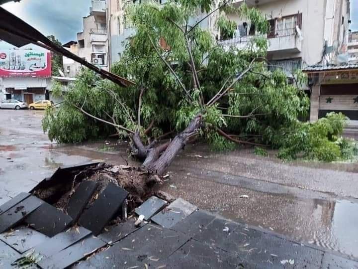 عاصفة تضرب اللاذقية وتسبب أضرا...