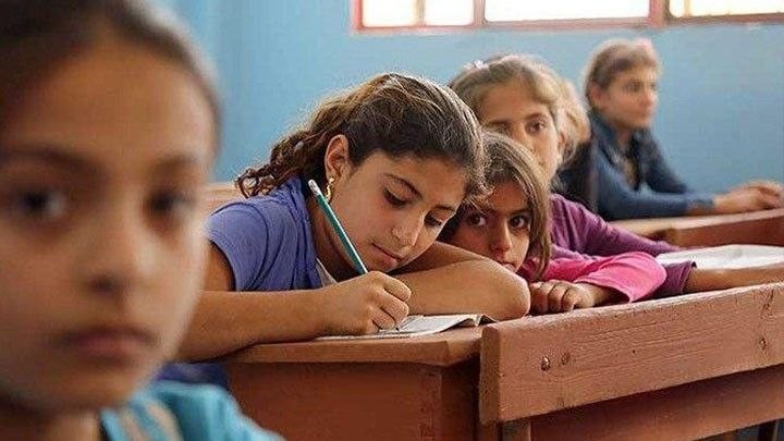 إحصائية تكشف واقع التعليم في م...