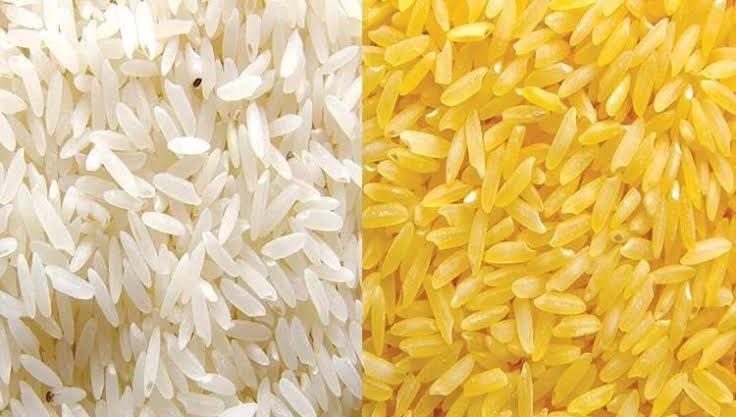 الأرز الذهبي "الممنوع" يغرق ال...