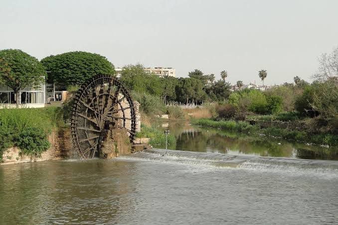 حماة.. نهر العاصي ملوث والعقوب...