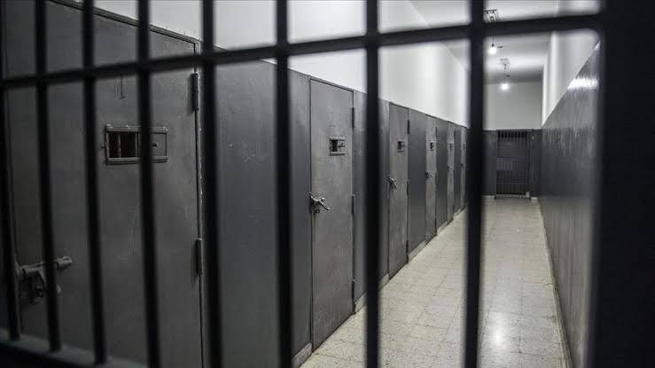 منظمة حقوقية تحصي عدد"القتلى ا...