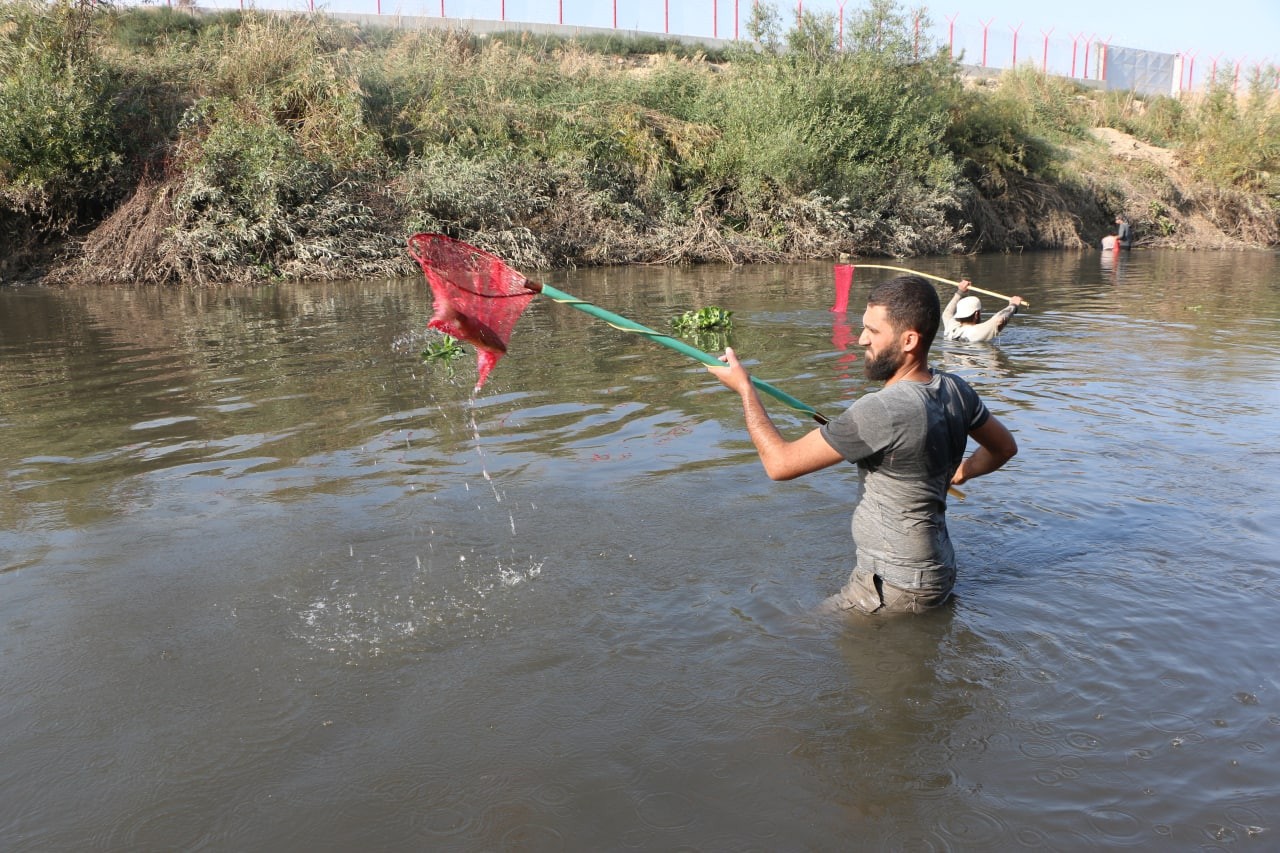 نفوق أعداد كبيرة من الأسماك في...