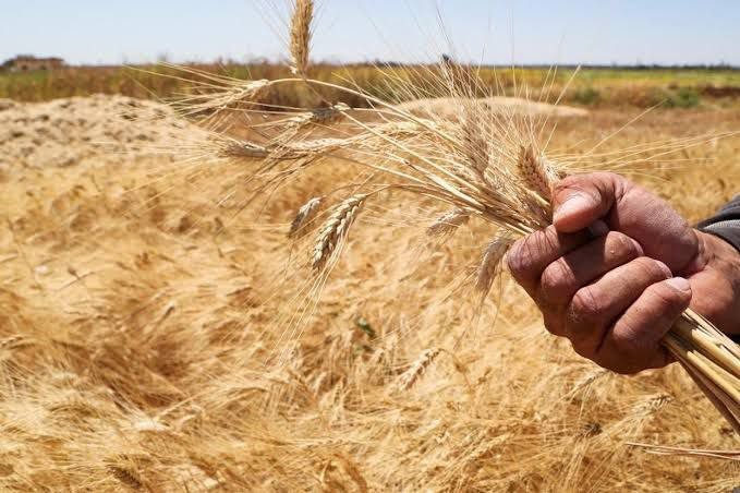 منصة "تاج" لكشف المستور عن الق...