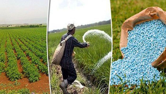 صحيفة رسمية تحذر من انهيار زرا...