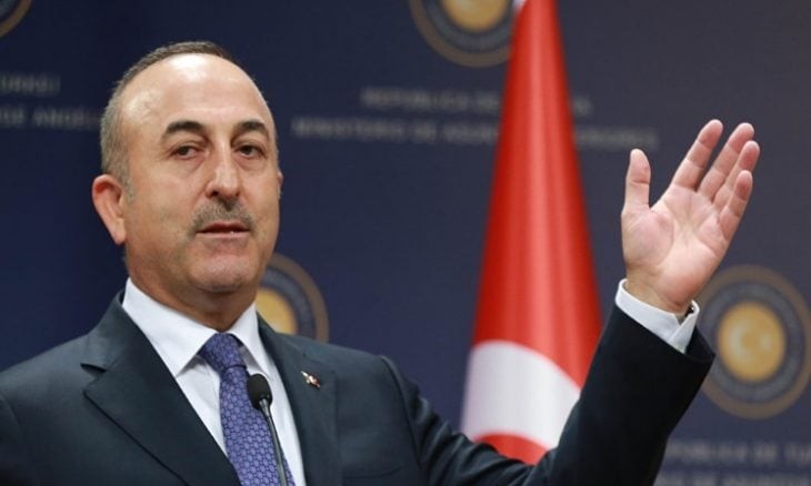 وزير الخارجية التركي يلتقي بشا...