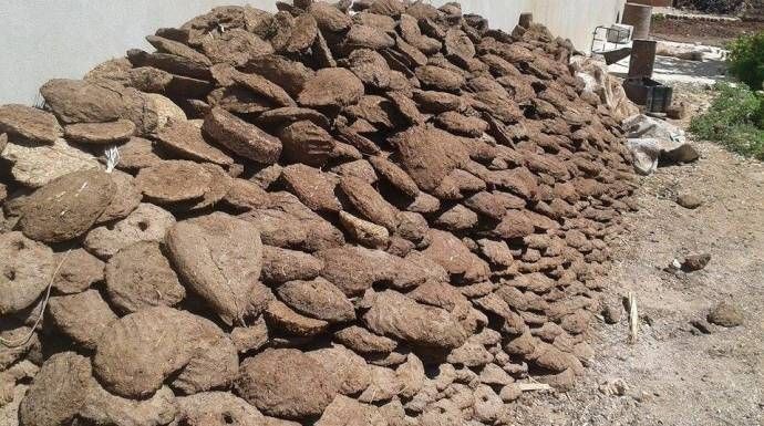 "روث البقر" آخر خيارات السوريي...