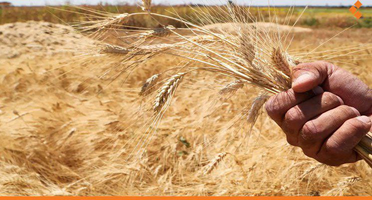 مسؤول موال يكشف ويبرر تراجع إن...