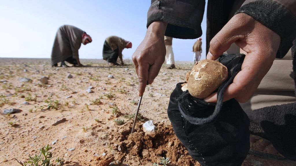 انفجـارلغم يودي بحياة سيدة من...