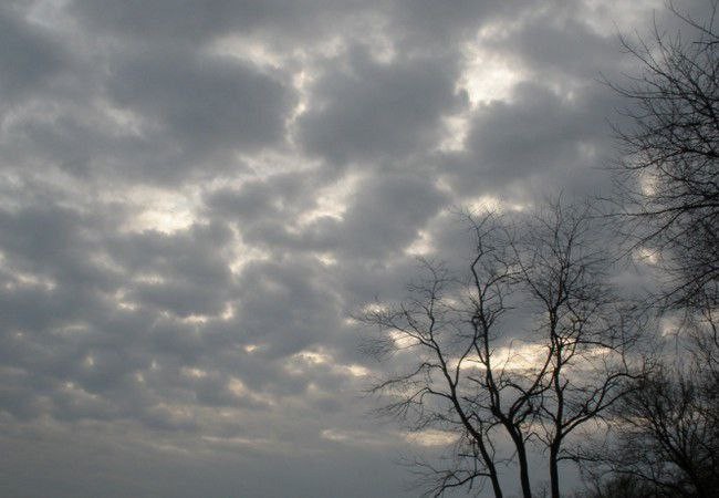 أجواء غائمة جزئيا.. أحوال الطق...