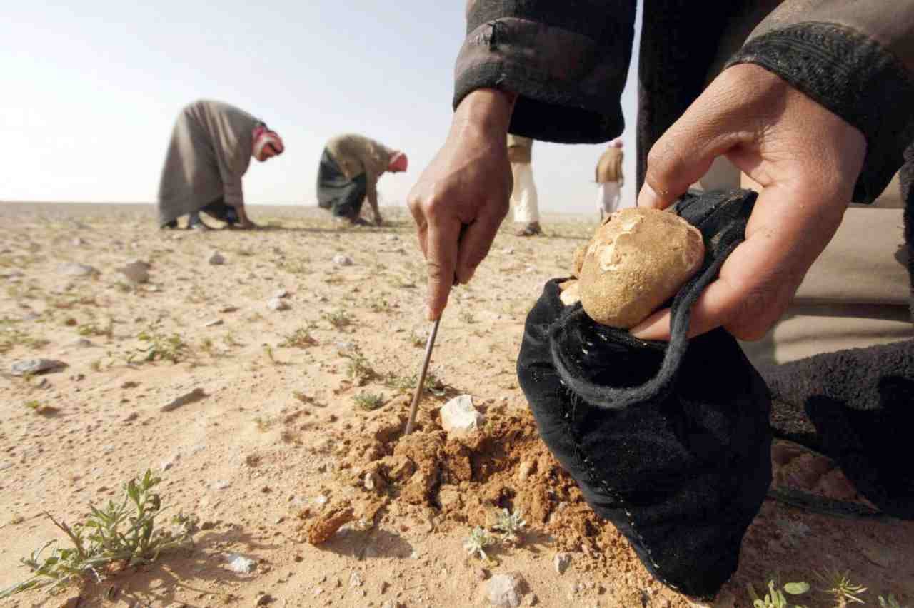 حكومة النظام تصدر 10 برادات كم...