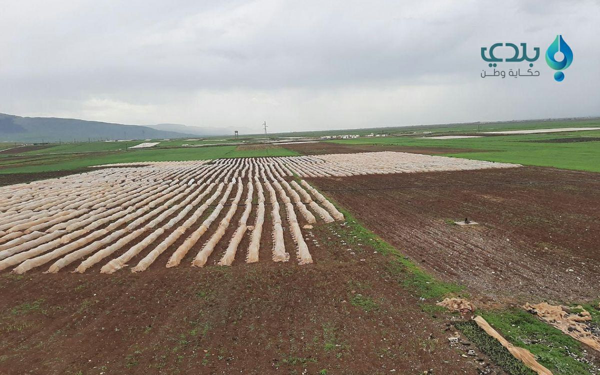 الاستيلاء على أراضي المهجرين ق...