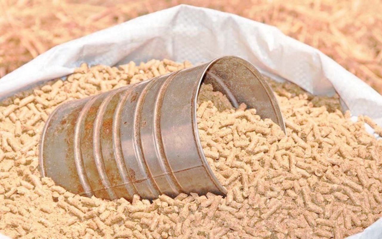 "مؤسسة الأعلاف" تعجز عن توفير...