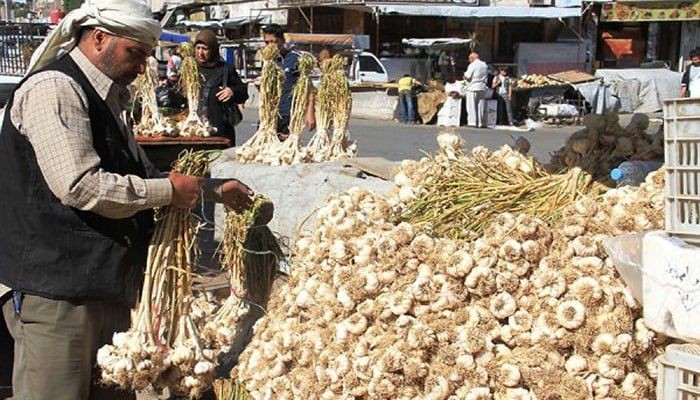 أزمــة تصدير الثوم السوري تكــ...