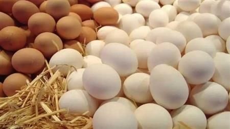 خبير اقتصادي يطالب بتوزيع البي...
