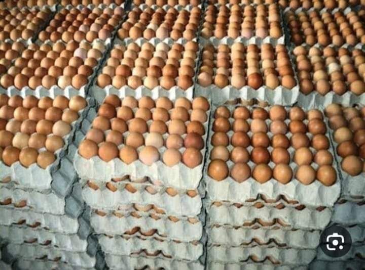 نقض "اتفاق البيض" الذي أعلنته...