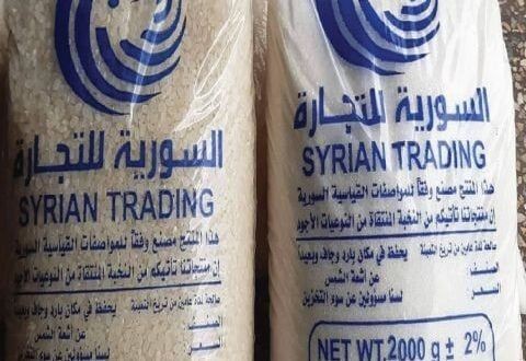 صحيفة موالية تتهم حكومة النظام...