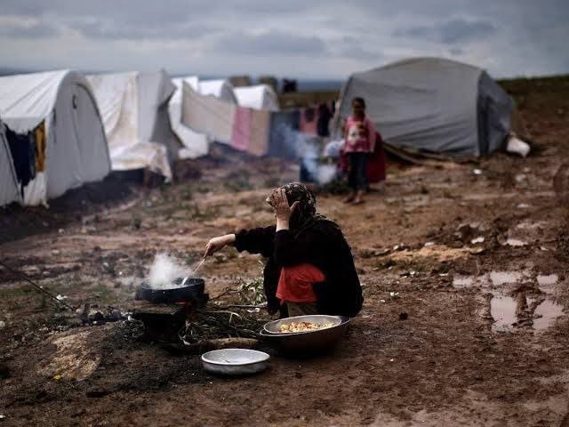 "الأغذية العالمي": ارتفاع خط ا...